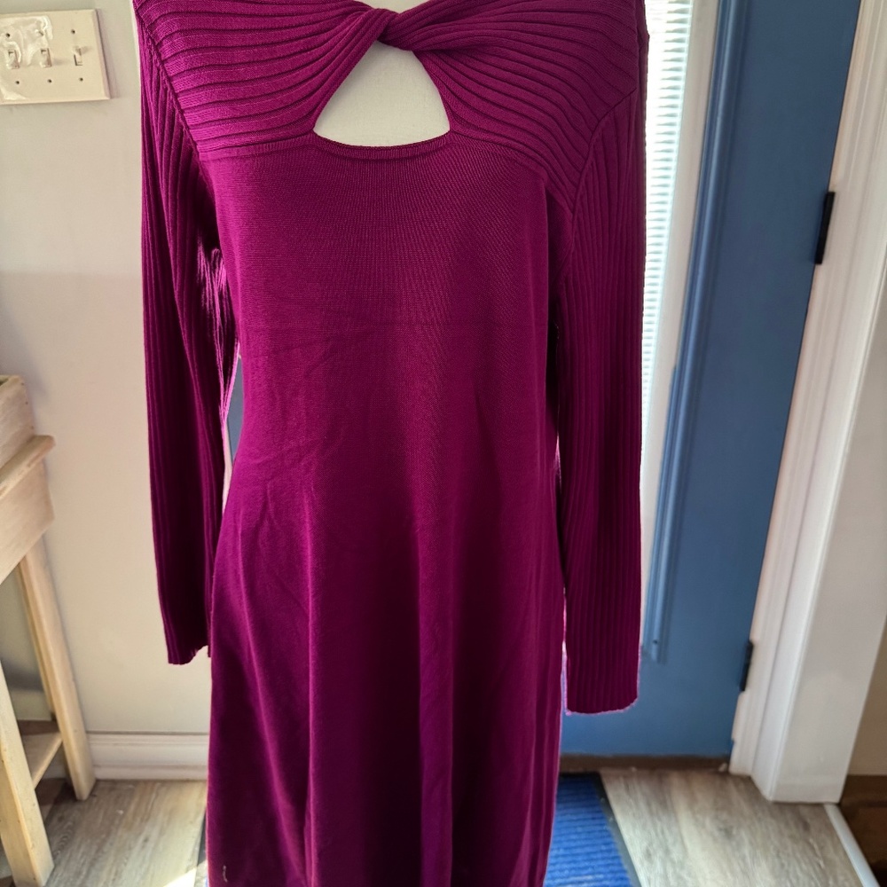 Nina Leonard Sweater Dress